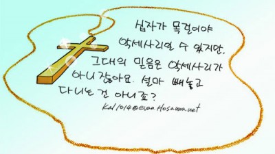 닭묵