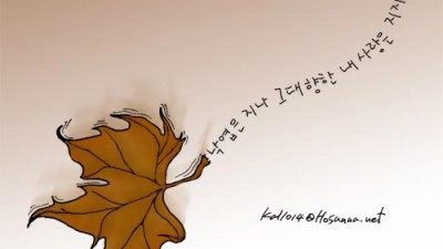 닭묵