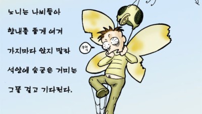 닭묵